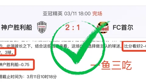 拜仁战胜勒沃库森，凯恩梅开二度阿方索助关键一击，欧冠成功挺进八强总比分5-0