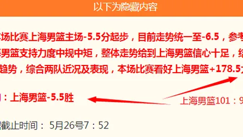 对决：天空队对阳光队 比赛分析指南